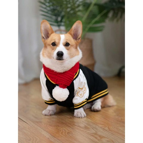 Essential Sports Jersey