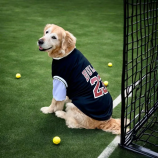 Modern Sports Jersey