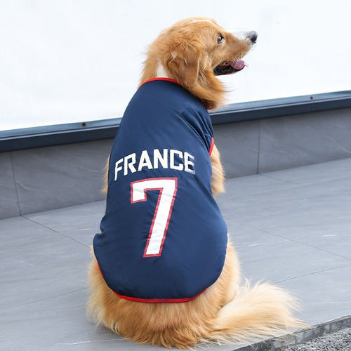 Active Workout Jersey