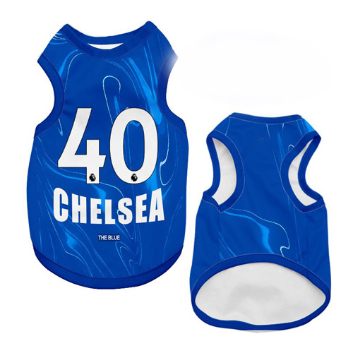 Energetic Performance Jersey