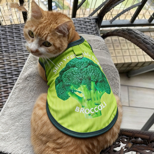 Ultra Fitness Jersey Ultra Fitness Jersey