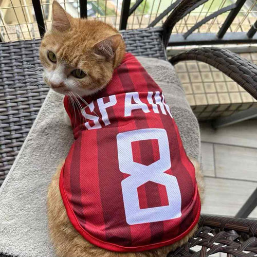 Ultra Sports Jersey Ultra Sports Jersey