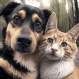 Fresh Workout Jersey