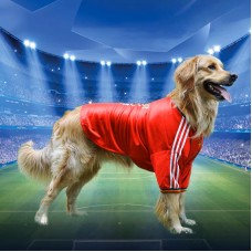 Select Workout Jersey