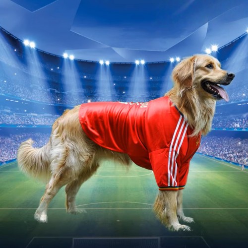 Vogue Training Jersey