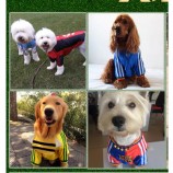 Classic Training Jersey