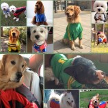 Classic Training Jersey