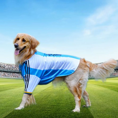 Premium Sports Jersey