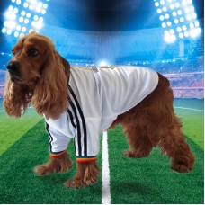 Refined Fitness Jersey