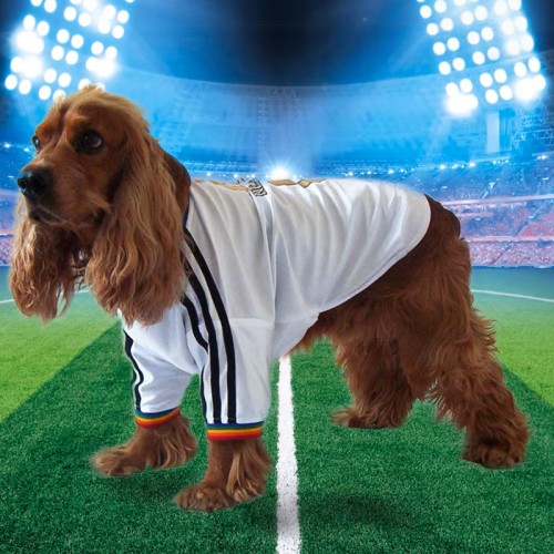 Refined Fitness Jersey Refined Fitness Jersey