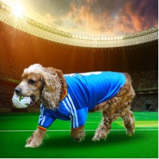 Vogue Fitness Jersey