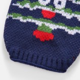 Blue Warm Sweater for Small Dogs