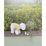 INS Style Soft Cotton Pet T-Shirt for Dogs and Cats