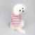 Rainbow Stripes with Yellow Trim