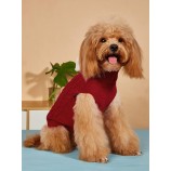Cable knit dog sweaters with collar