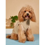 Korean-Style Dog Knitwear