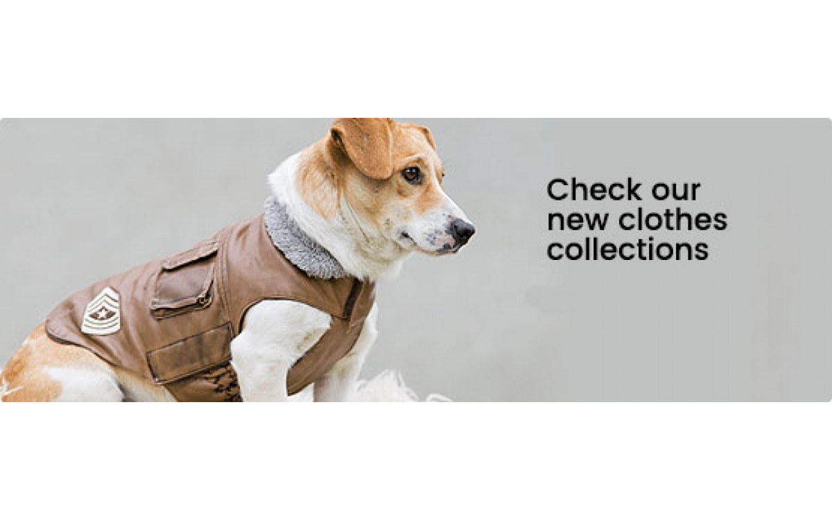 Keep Your Dog Cool This Summer with Our Breathable Cooling Vest