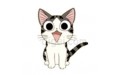 Cat (3)