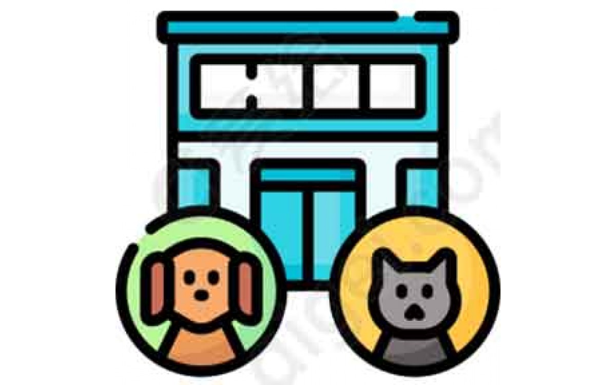 Pet Services Pet Services