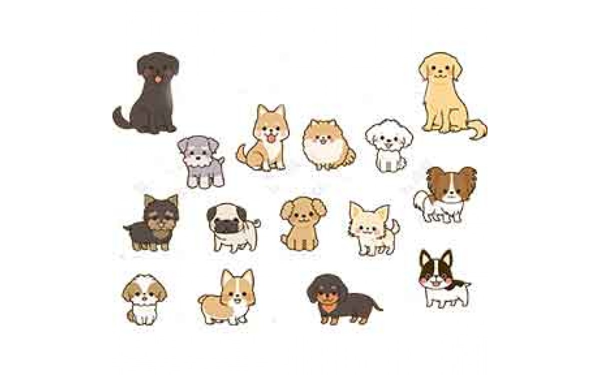 Small Pet Small Pet