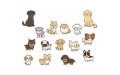 Small Pet (1)
