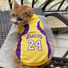 Trend Training Jersey