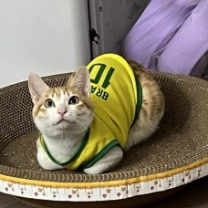 Force Exercise Jersey