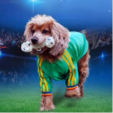 Select Sports Jersey