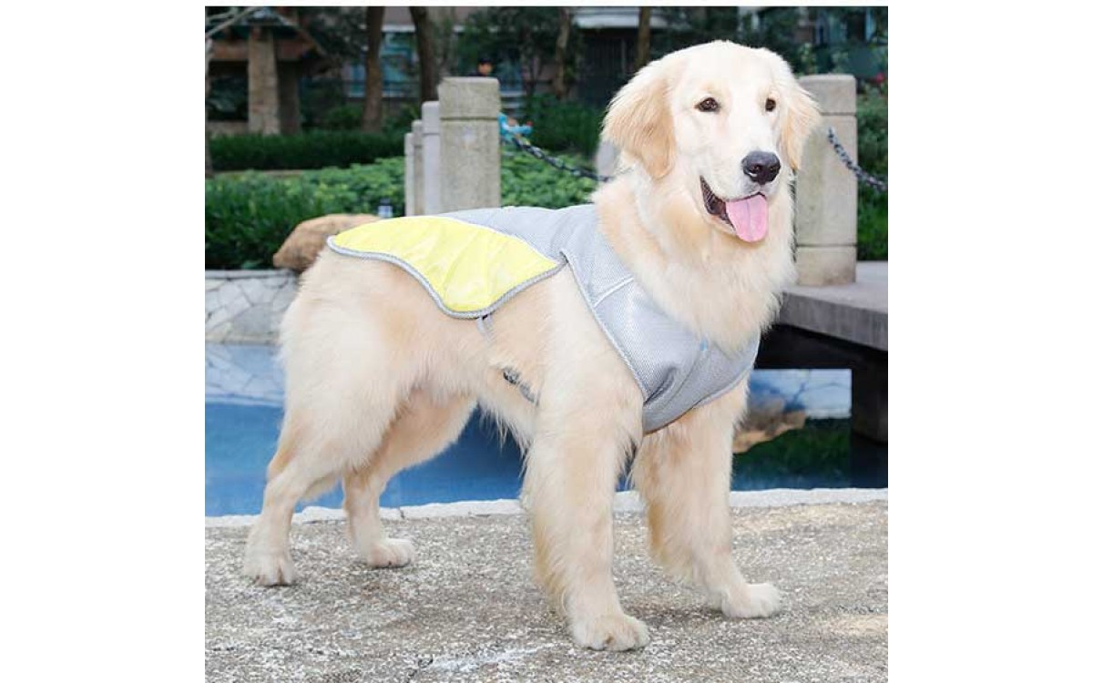 Evaporative Cooling Vest for Dogs: The Smart Way to Beat the Heat