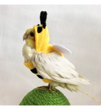Winter Bumblebee Outfit for Parrots