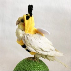 Winter Bumblebee Outfit for Parrots
