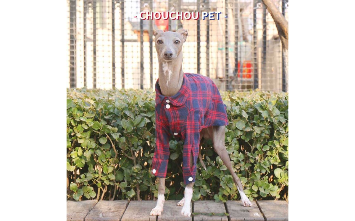 Plaid Cotton Dog Shirt for Italian Greyhound