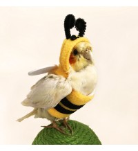Bee Costume for Parrots