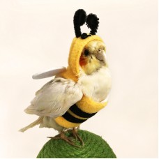 Bee Costume for Parrots