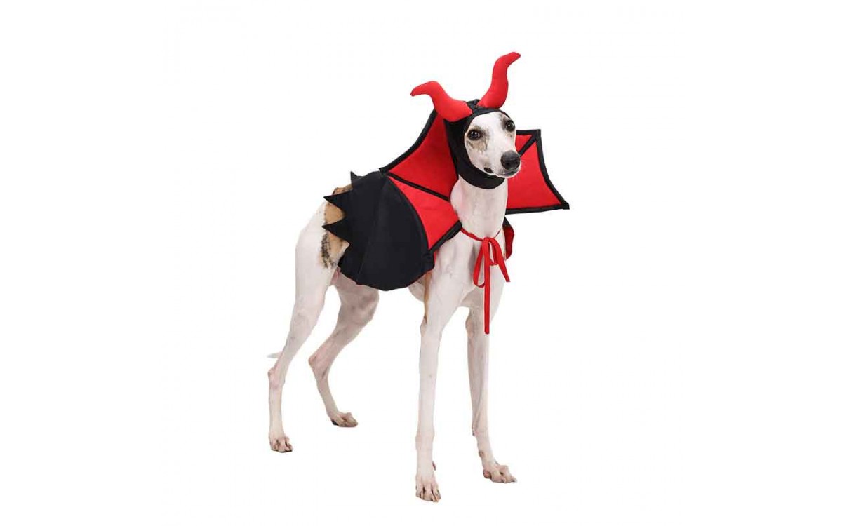 Halloween Pet Vampire Cape and Hat Costume