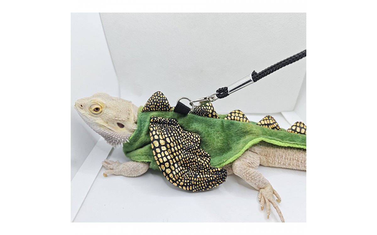 Turn Your Lizard into a Mini Dinosaur with Our Fun Costume Harness