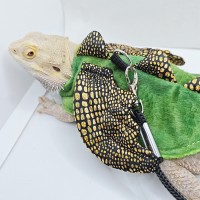 Reptile Winged Harness Leash Set