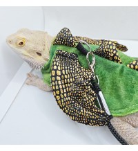 Reptile Winged Harness Leash Set