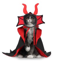 Halloween Cat Vampire Cape and Hat Costume
