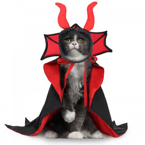 Halloween Cat Vampire Cape and Hat Costume