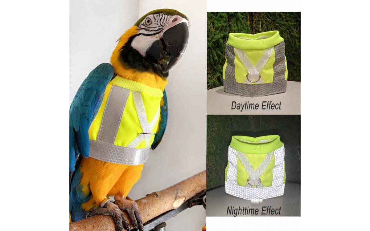 Why Modern Pet Owners Love Minimalist, Eco-Friendly Pet Apparel
