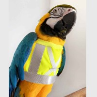 Reflective Bird Flight Vest with Leash
