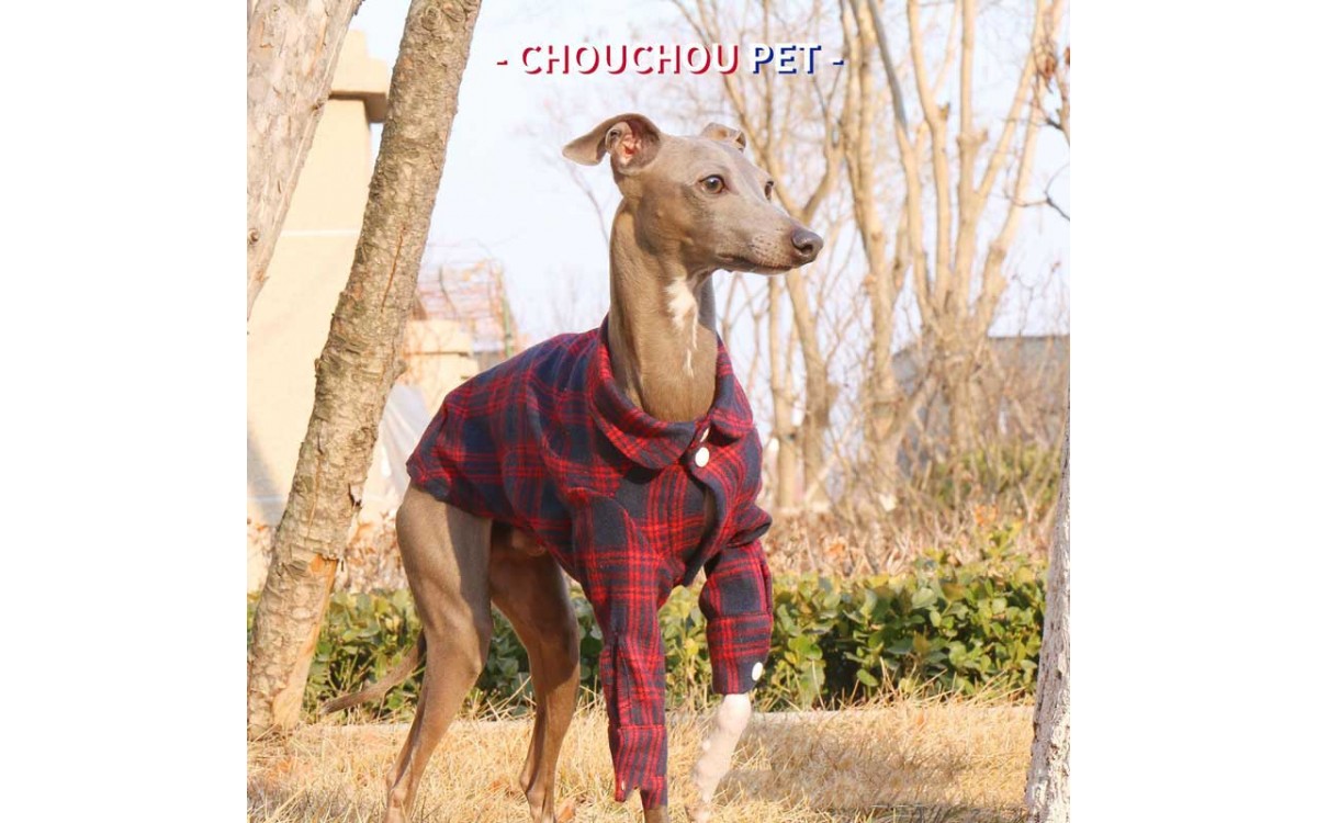 Autumn Checkered Cotton Shirt for Whippet