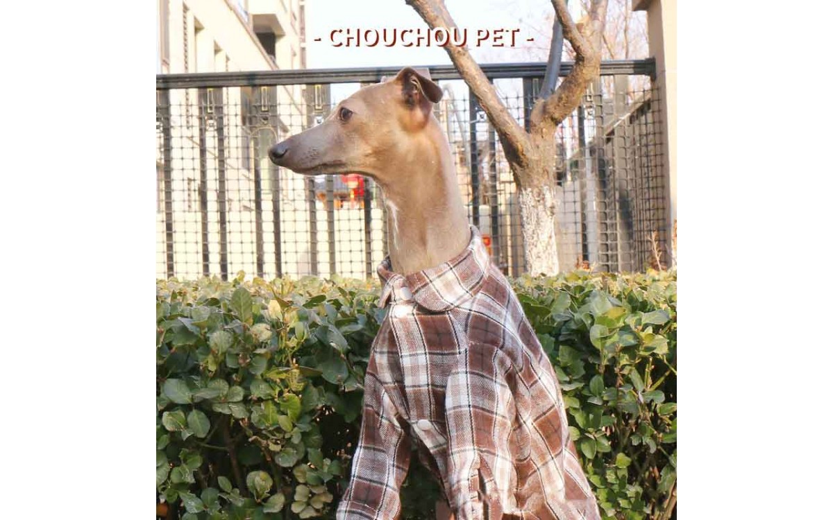Cotton Check Dog Shirt – Tailored Fit for Italian Greyhounds