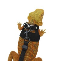 Eco Leather Lizard Harness Set – LovelyPetpal Reptile Outdoor Vest with Leash