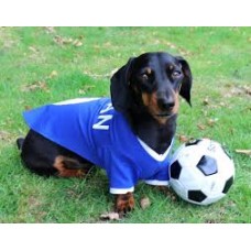 Series Fitness Jersey