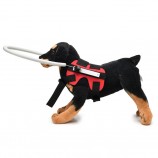 Blind Dog Harness with Protective Halo