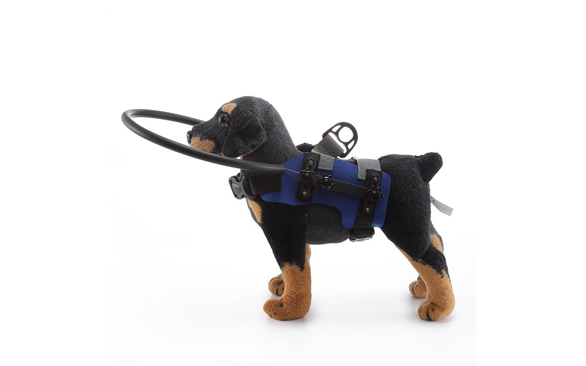 Adjustable Blind Dog Bumper Harness for Indoor Safety – LovelyPetPal