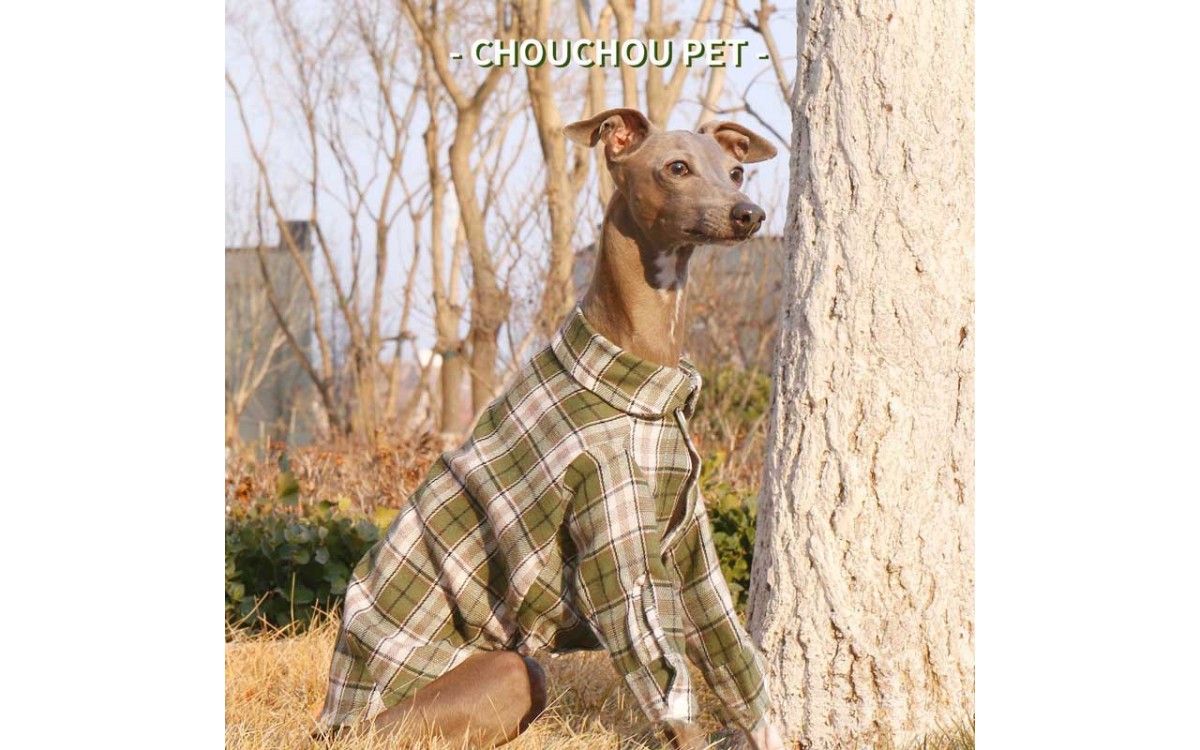 Classic Tartan Dog Shirt for Italian Greyhounds – LovelyPetpal
