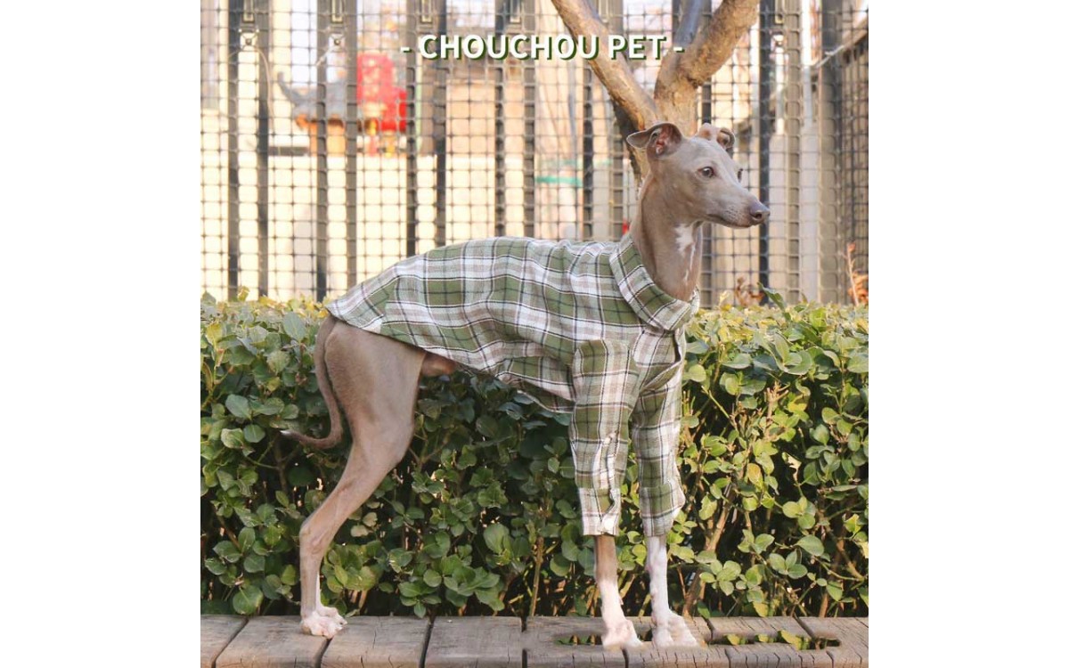 Lightweight Checkered Dog Shirt for Small Breeds – LovelyPetpal